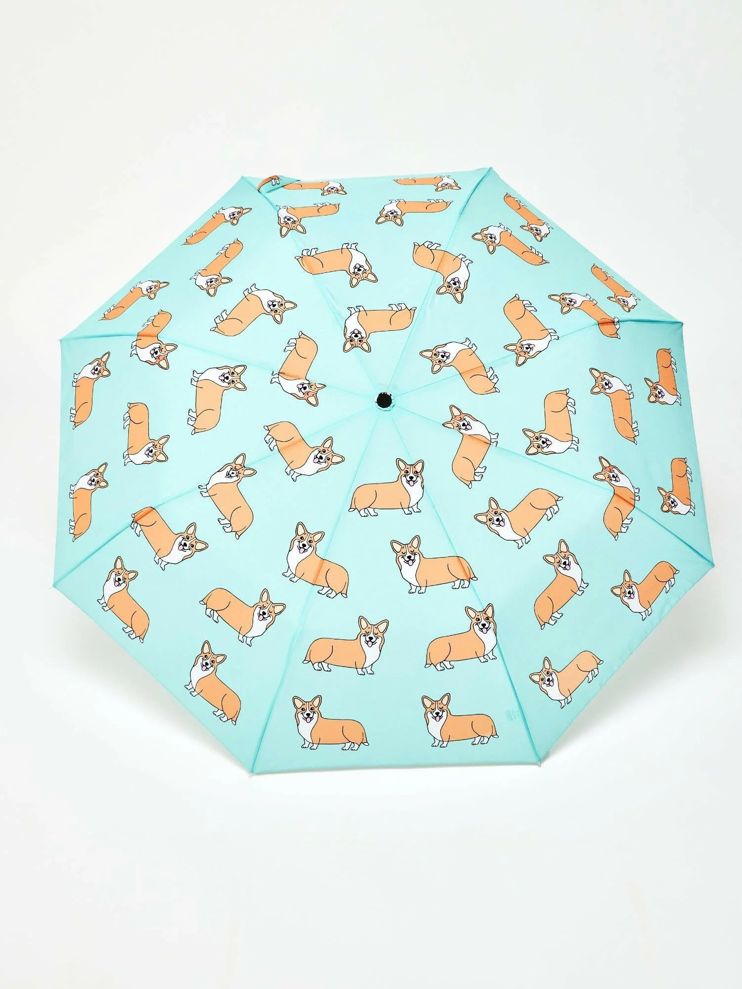 Corgi Mint Duck Umbrella - Image 4