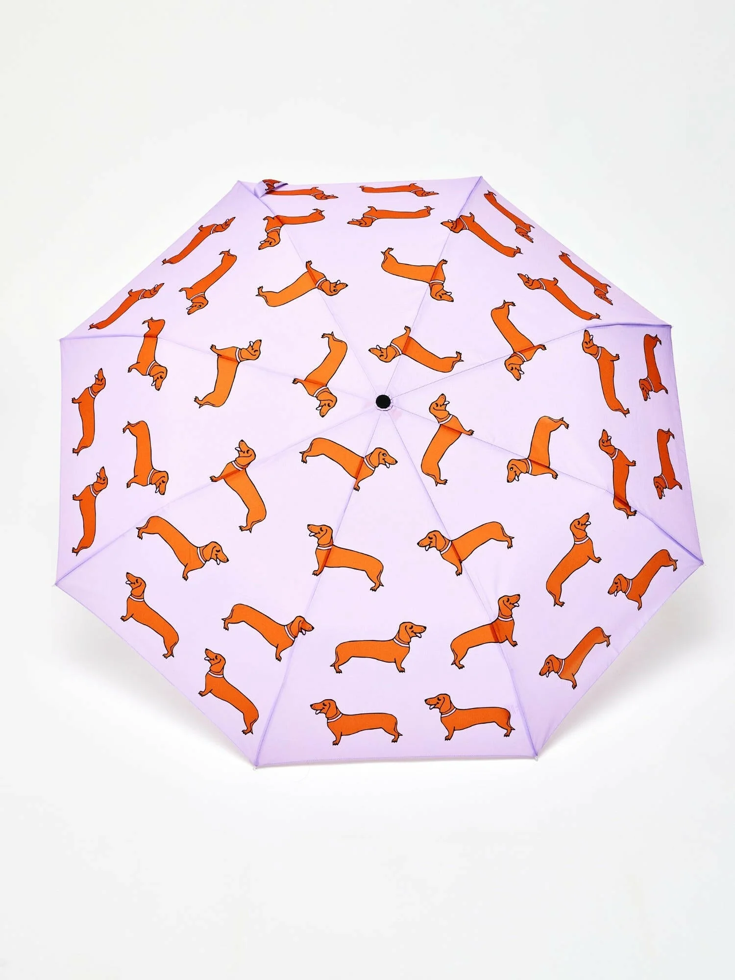 Dachshund Dog Lilac Eco-friendly Compact Duck Umbrella - Image 4